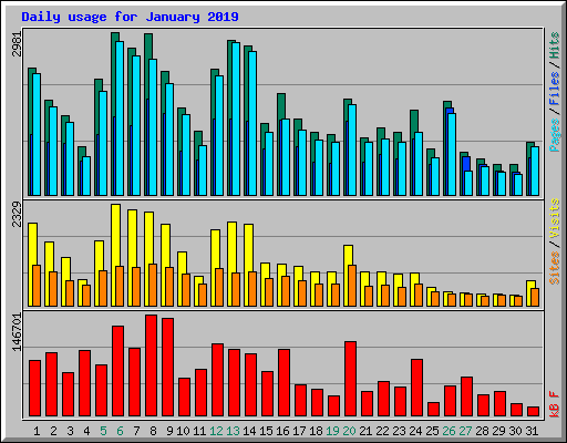Daily usage for January 2019