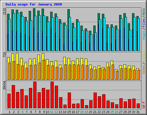 Daily usage for January 2020