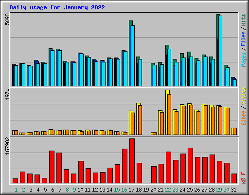 Daily usage for January 2022