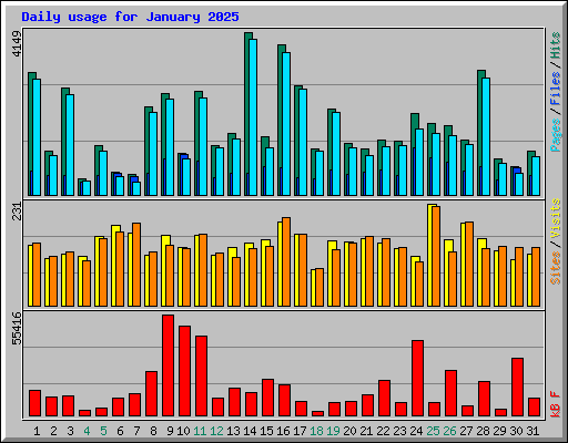 Daily usage for January 2025