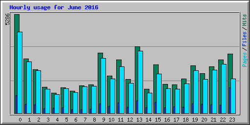Hourly usage for June 2016