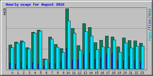 Hourly usage for August 2016