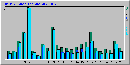 Hourly usage for January 2017