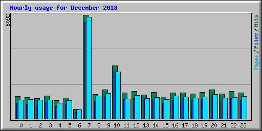 Hourly usage for December 2018