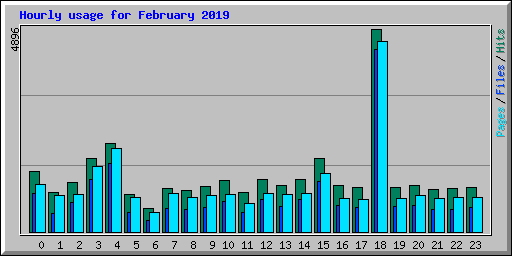 Hourly usage for February 2019