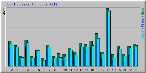 Hourly usage for June 2019