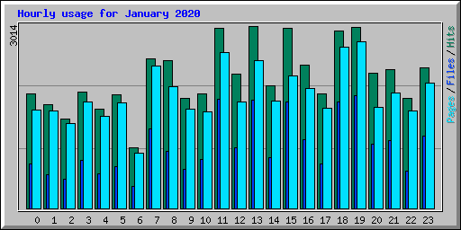 Hourly usage for January 2020