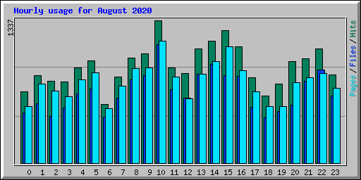 Hourly usage for August 2020