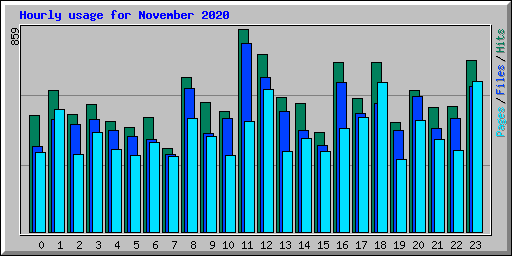 Hourly usage for November 2020