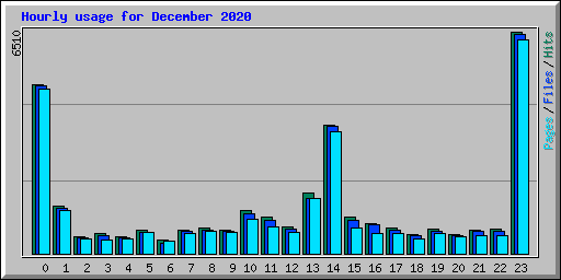 Hourly usage for December 2020