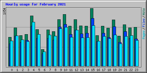 Hourly usage for February 2021