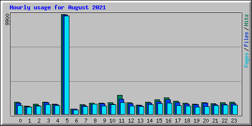 Hourly usage for August 2021