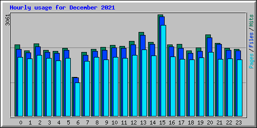 Hourly usage for December 2021