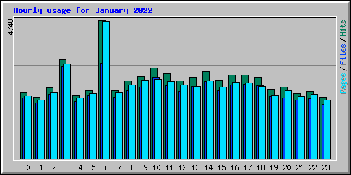 Hourly usage for January 2022