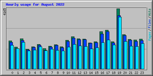 Hourly usage for August 2022