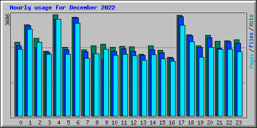 Hourly usage for December 2022