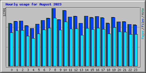 Hourly usage for August 2023