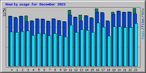 Hourly usage for December 2023