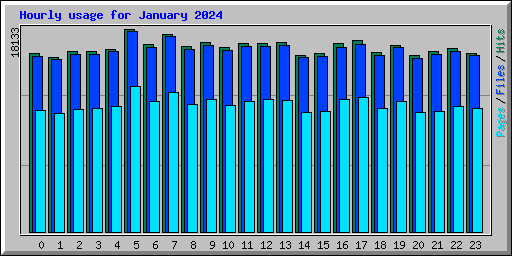 Hourly usage for January 2024