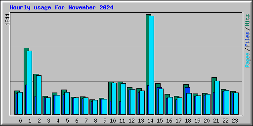 Hourly usage for November 2024