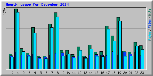 Hourly usage for December 2024