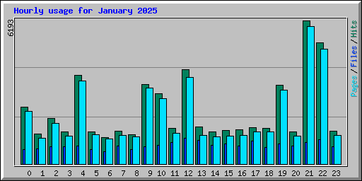 Hourly usage for January 2025
