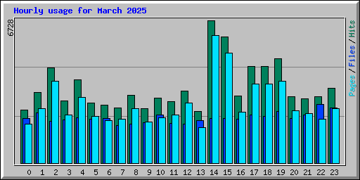 Hourly usage for March 2025