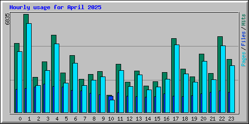 Hourly usage for April 2025