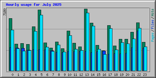 Hourly usage for July 2025