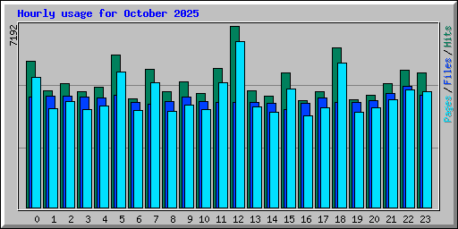Hourly usage for October 2025