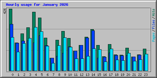 Hourly usage for January 2026